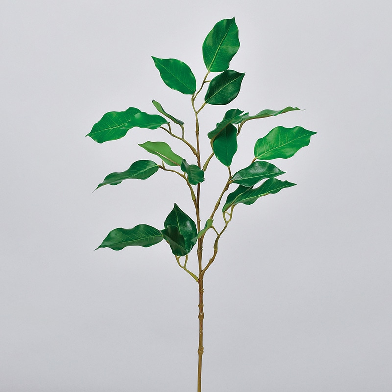 アスカ商会 造花・グリーン A-43808 ファイカススプレー #051A グリ-ン 1本(ご注文単位1本)【直送品】