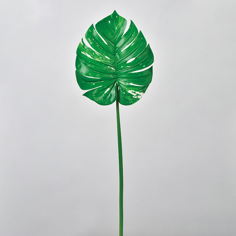 アスカ商会 造花・グリーン A-43814　モンステラ #051A　グリ-ン 1本（ご注文単位1本）【直送品】
