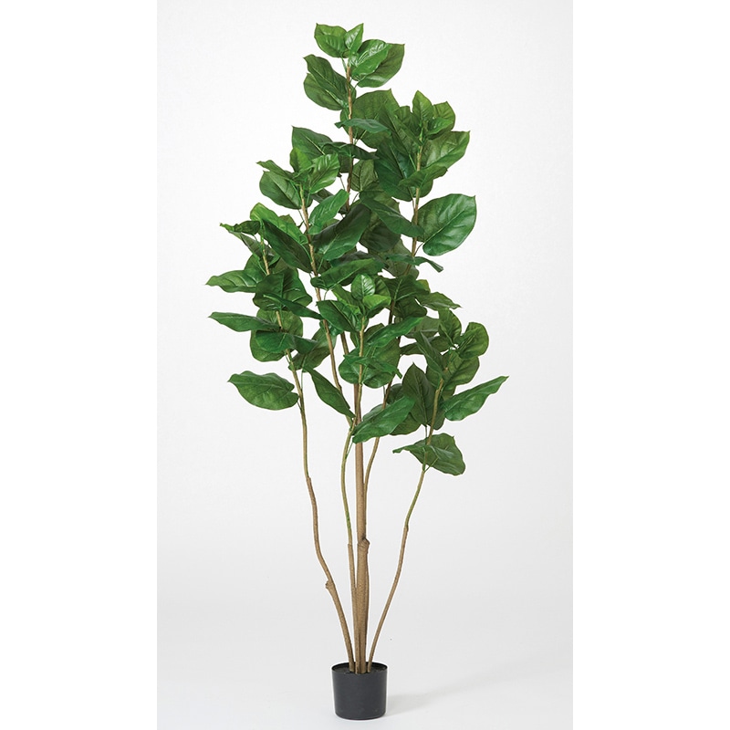 アスカ商会 造花・観葉植物 A-51028 ウンベラータ #051A グリ-ン ポット付 1本(ご注文単位1本)【直送品】