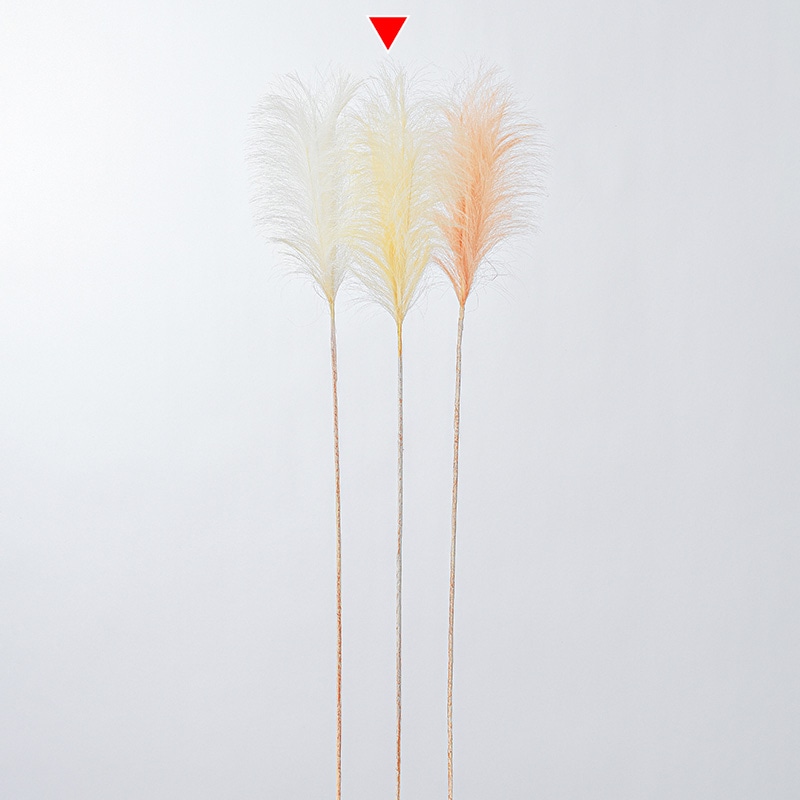 アスカ商会 造花・グリーン A-43836　パンパス #011　クリ-ムホワイト 1本（ご注文単位1本）【直送品】