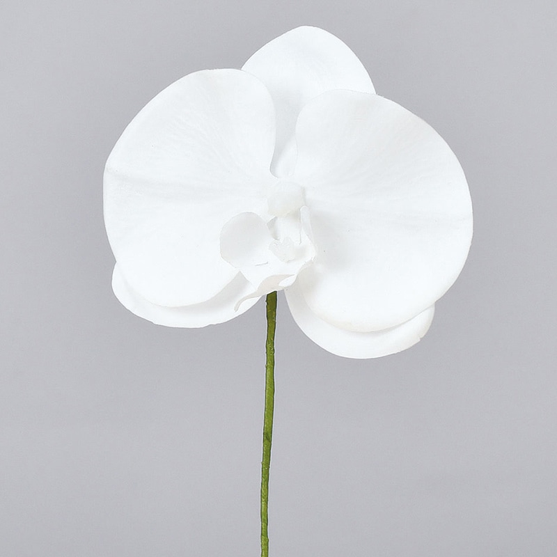 アスカ商会 造花 A-34236　コチョウランピック　L #001　ホワイト 1本（ご注文単位1本）【直送品】