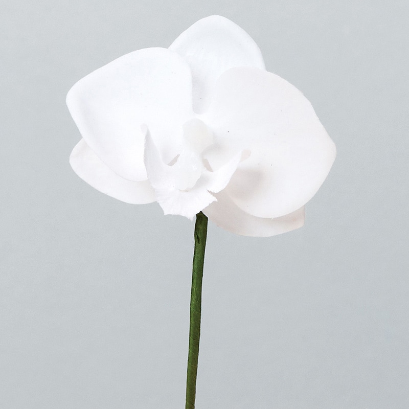 アスカ商会 造花 A-34235 コチョウランピック S #001 ホワイト 1本(ご注文単位1本)【直送品】