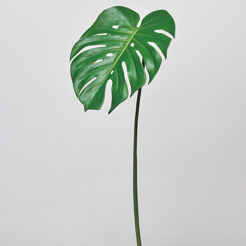 アスカ商会 造花・グリーン A-43849　モンステラ #051A　グリ-ン 1本（ご注文単位1本）【直送品】