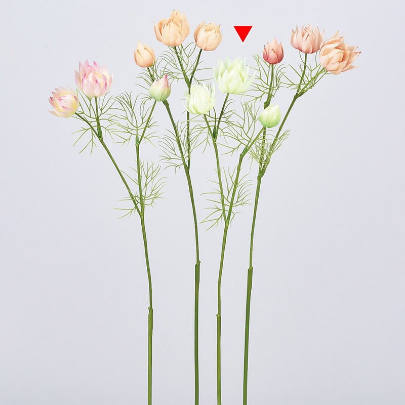 ホワイトグリーン