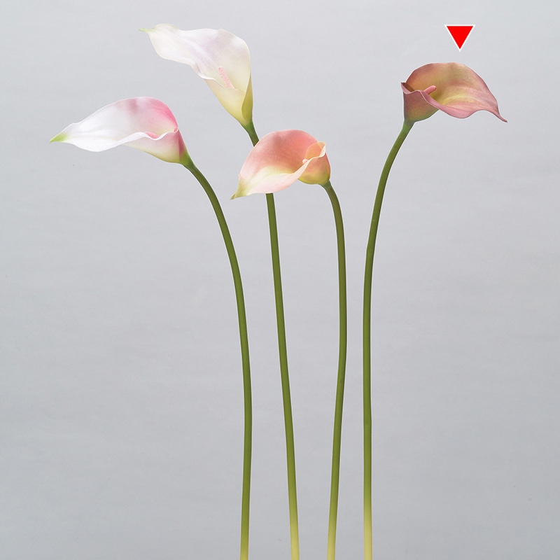 アスカ商会 造花 A-34317　カラーリリィ #015G　バ-ガンディグリ-ン 1本（ご注文単位1本）【直送品】