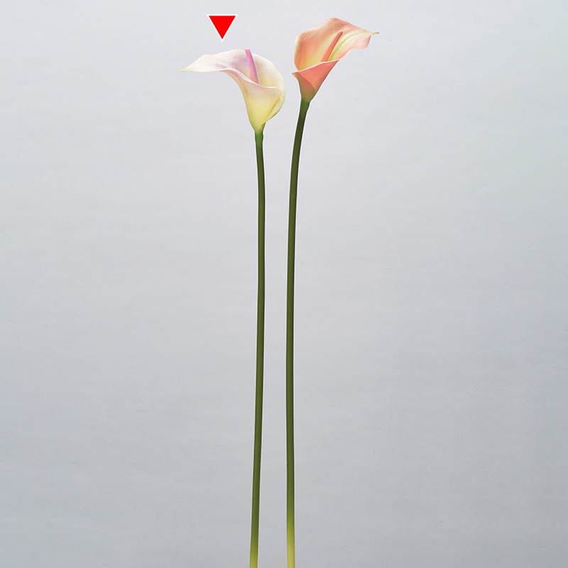 アスカ商会 造花 A-34318　カラーリリィ #003C　クリ-ムピンク 1本（ご注文単位1本）【直送品】