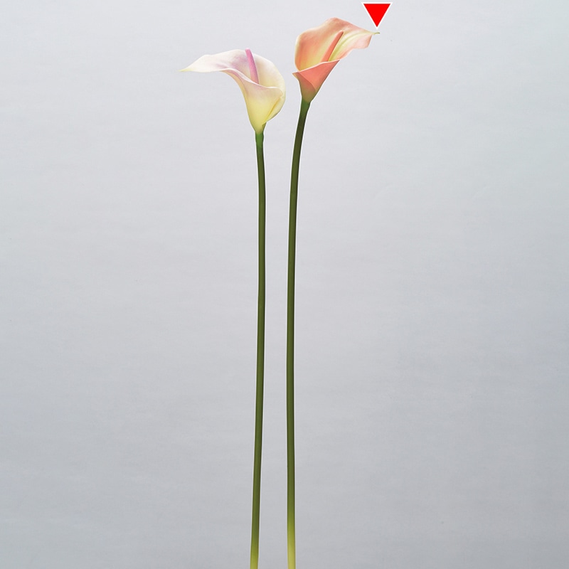 アスカ商会 造花 A-34318　カラーリリィ #004G　ピ-チグリ-ン 1本（ご注文単位1本）【直送品】