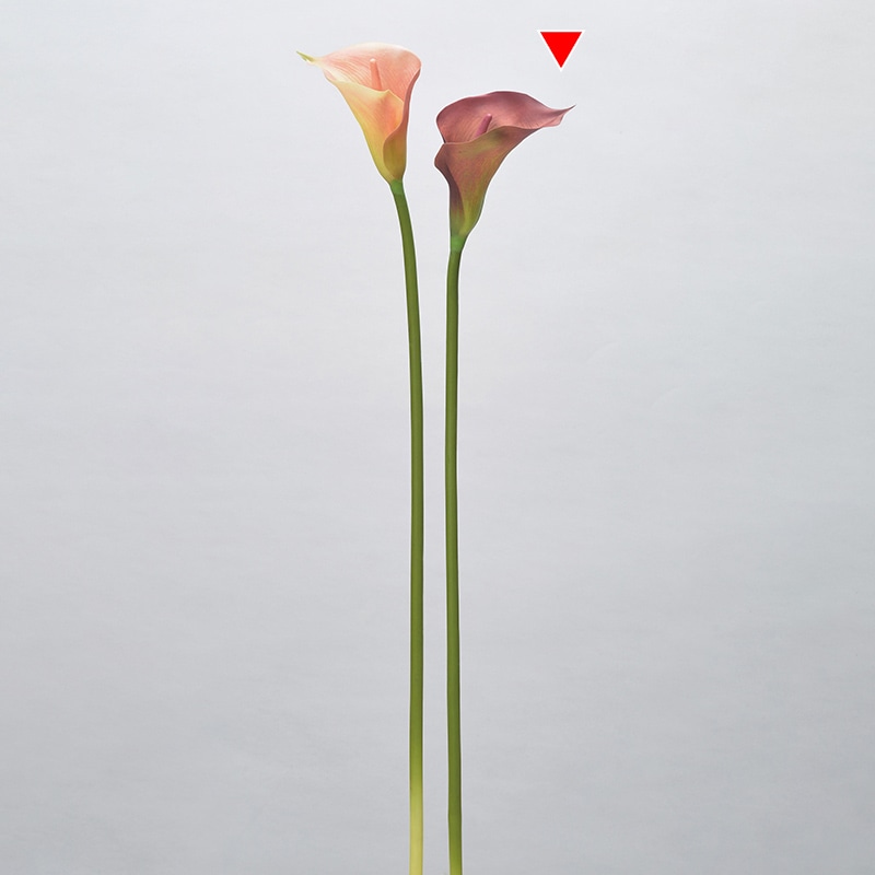 アスカ商会 造花 A-34319　カラーリリィ #015G　バ-ガンディグリ-ン 1本（ご注文単位1本）【直送品】