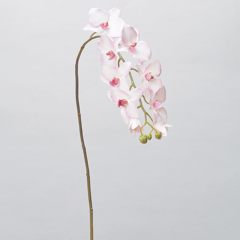 アスカ商会 造花 A-34323コチョウラン #001P　ホワイトピンク 1本（ご注文単位1本）【直送品】