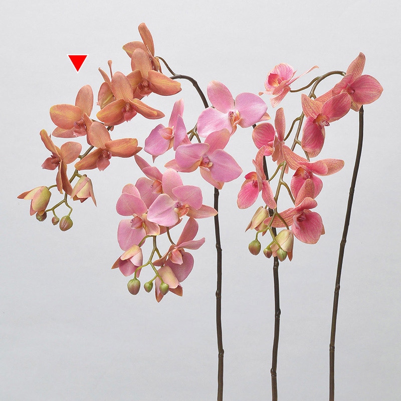 アスカ商会 造花 A-34324コチョウラン #013A　コ-ラル 1本（ご注文単位1本）【直送品】