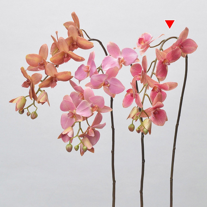 アスカ商会 造花 A-34324コチョウラン #045　オ-キッド 1本（ご注文単位1本）【直送品】