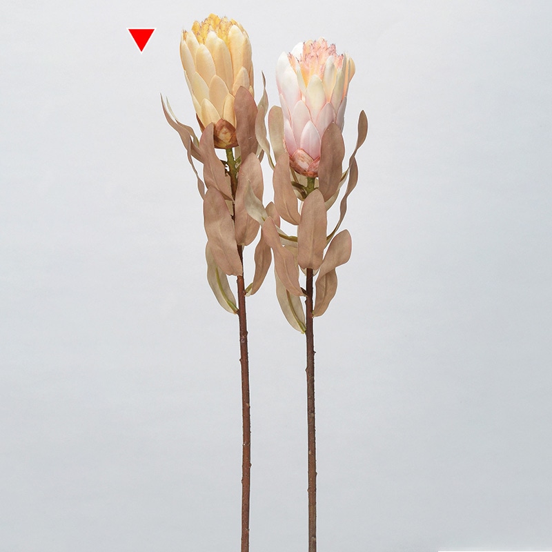 アスカ商会 造花 A-34327　プロテア #008　ベ-ジュ 1本（ご注文単位1本）【直送品】