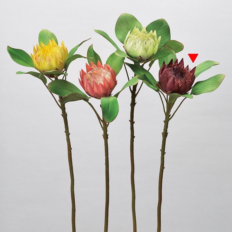 アスカ商会 造花 A-34328　プロテア #015　バ-ガンディ 1本（ご注文単位1本）【直送品】