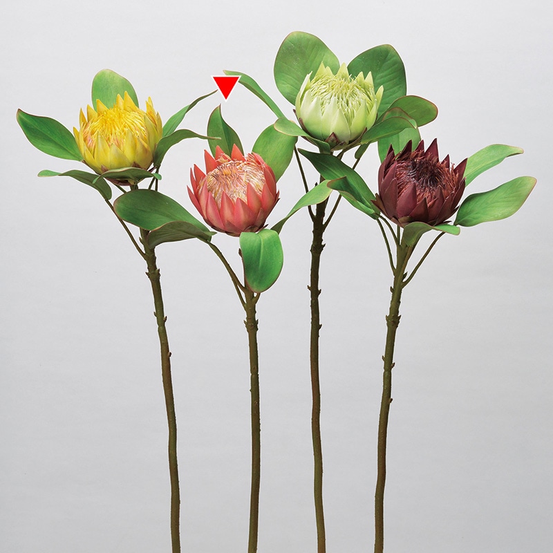 アスカ商会 造花 A-34328　プロテア #013A　コ-ラル 1本（ご注文単位1本）【直送品】