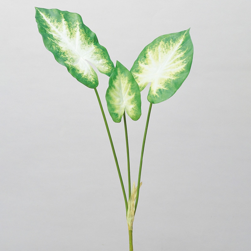 アスカ商会 造花・グリーン A-43944　カラジュームブッシュ #051W　グリ-ンホワイト 1本（ご注文単位1本）【直送品】