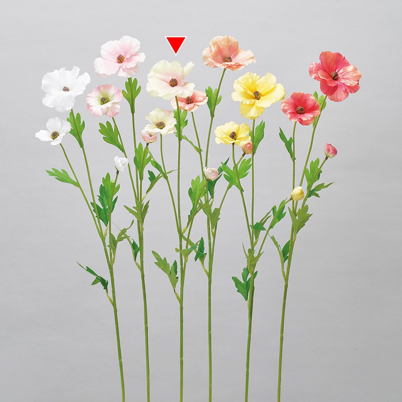 クリームピンク