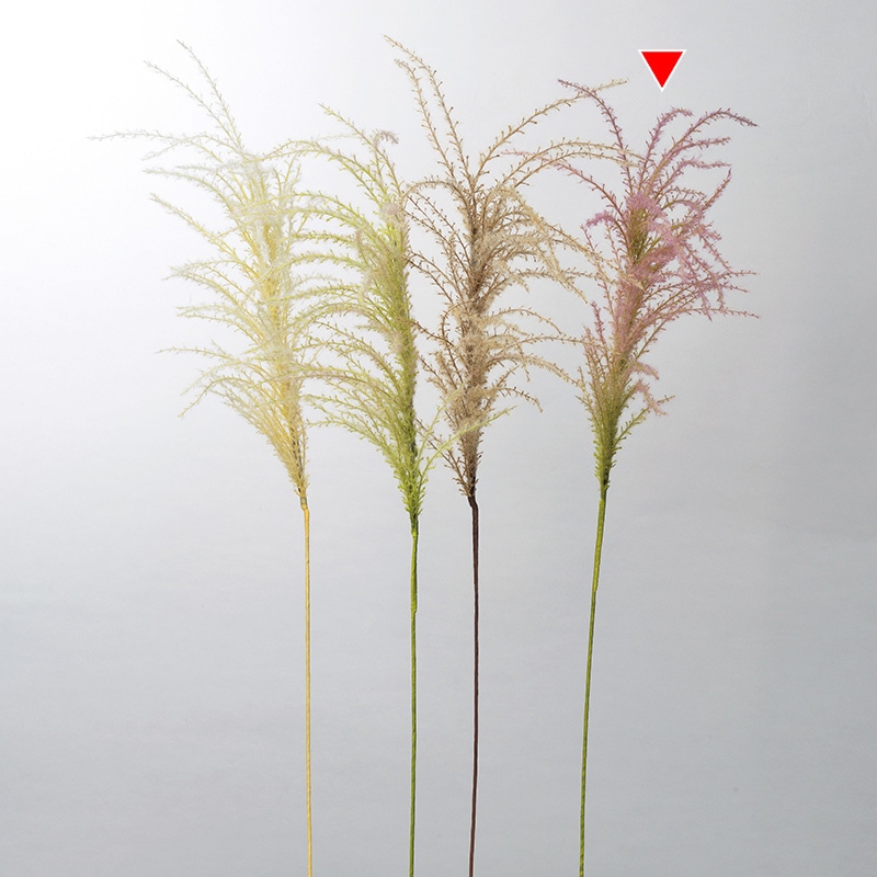 アスカ商会 造花・グリーン A-43931　パンパス #055G　モ-ブグリ-ン 1本（ご注文単位1本）【直送品】