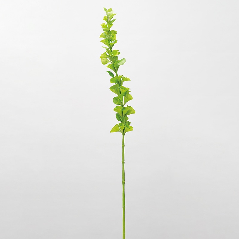 アスカ商会 造花 A-34279　モルセラ #052B　ライトグリ-ン 1本（ご注文単位1本）【直送品】