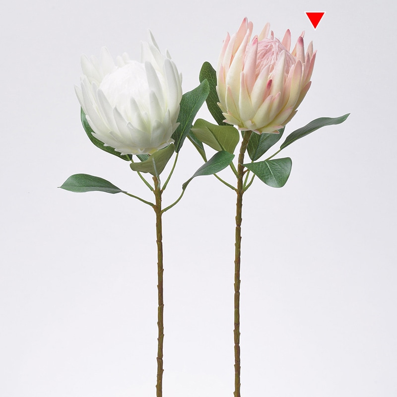 アスカ商会 造花 A-34332　プロテア #013　ライトピンク 1本（ご注文単位1本）【直送品】