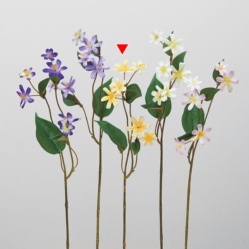 ソフトイエロー