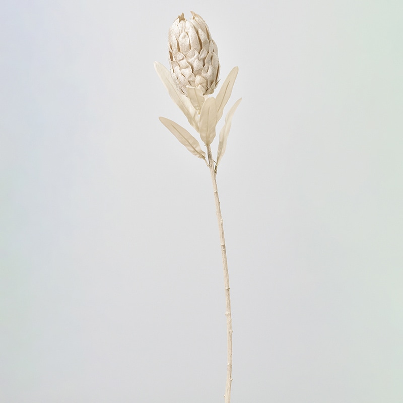 アスカ商会 造花 A-34369　プロテア #011　クリ-ムホワイト 1本（ご注文単位1本）【直送品】