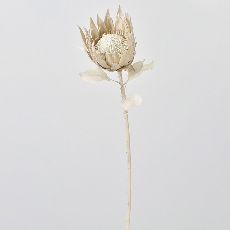 アスカ商会 造花 A-34370　プロテア #011　クリ-ムホワイト 1本（ご注文単位1本）【直送品】