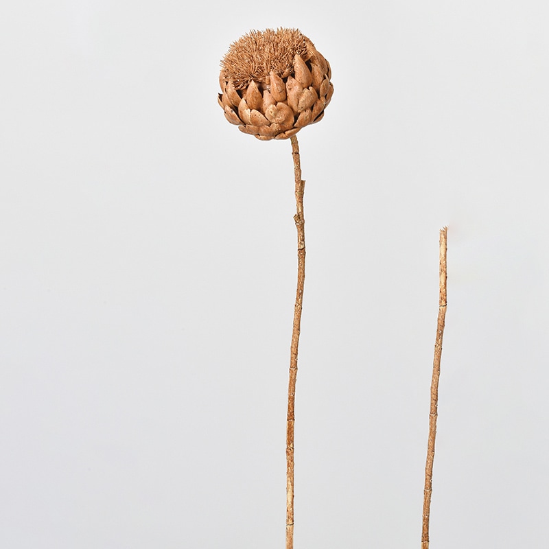 アスカ商会 造花 A-34374　アーティチョーク #028B　ライトブラウン 1本（ご注文単位1本）【直送品】