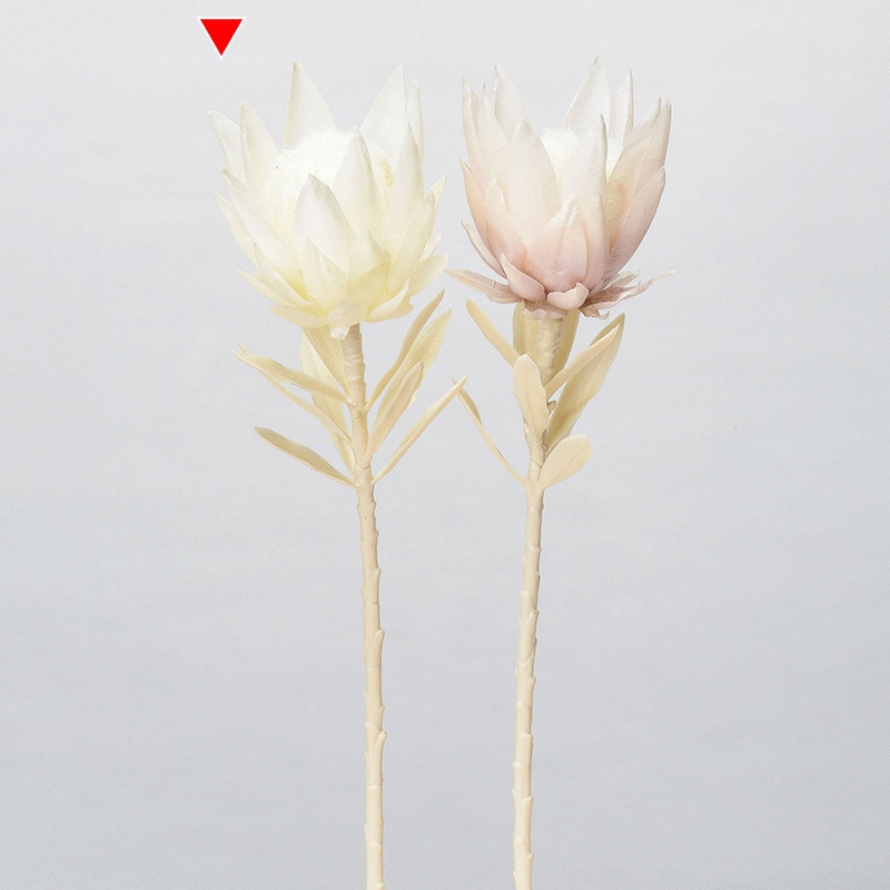 アスカ商会 造花 A-34293　プロテア #011　クリ-ムホワイト 1本（ご注文単位1本）【直送品】