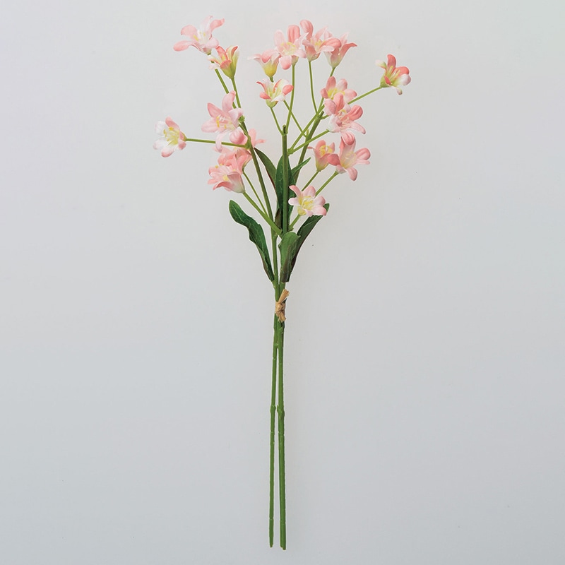 ピーチクリーム