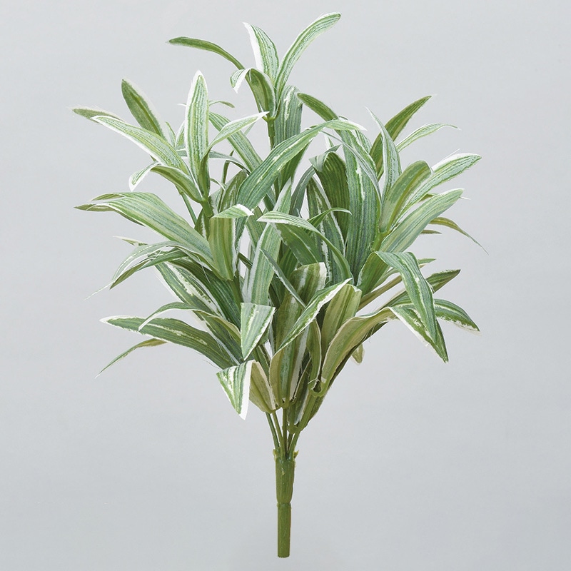 フロストグリーン