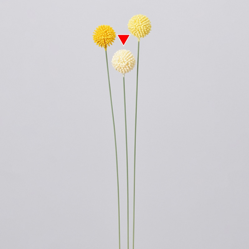 クリームホワイト