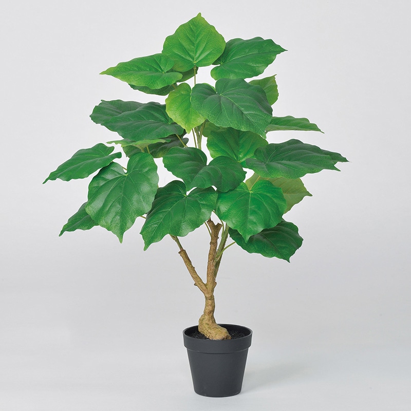 アスカ商会 造花・観葉植物 A-51035　ウンベラータ #051A　グリ-ン　ポット付 1本（ご注文単位1本）【直送品】