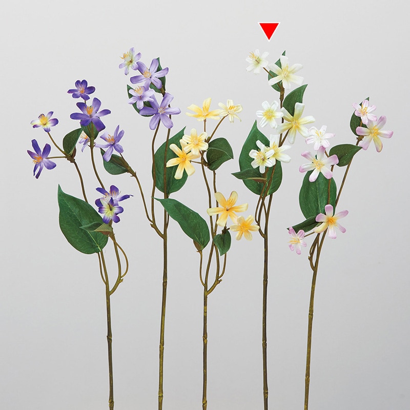 ホワイトグリーン