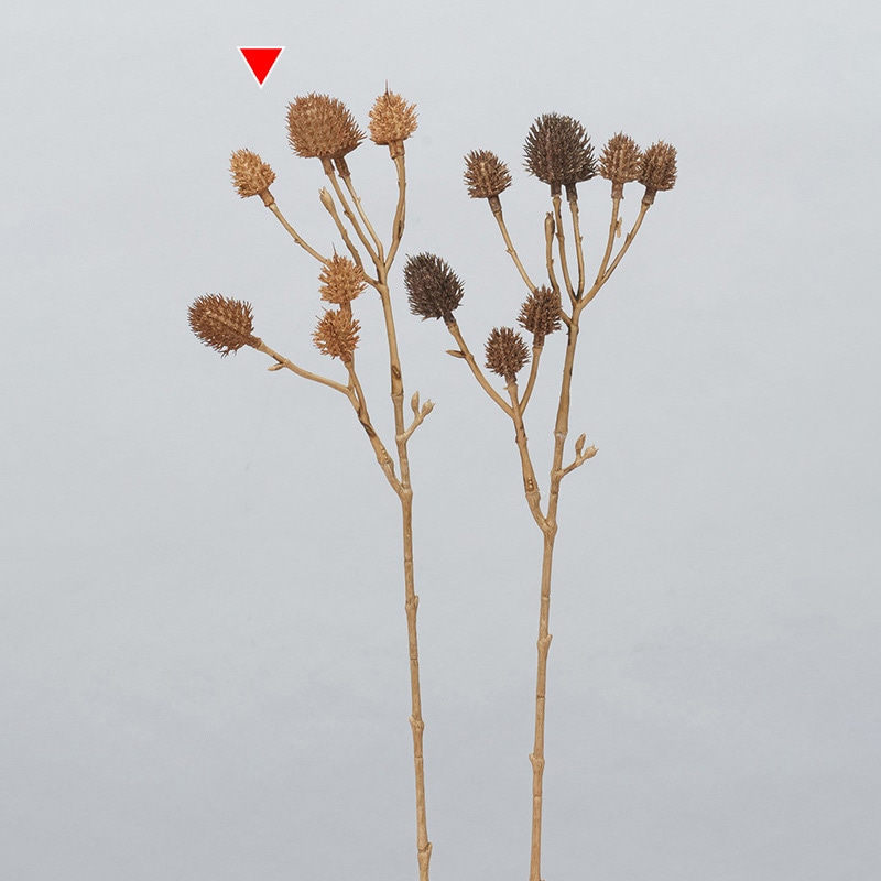 アスカ商会 造花 A-34412　エリンジウムピック×8 #028　ブラウン 1本（ご注文単位1本）【直送品】