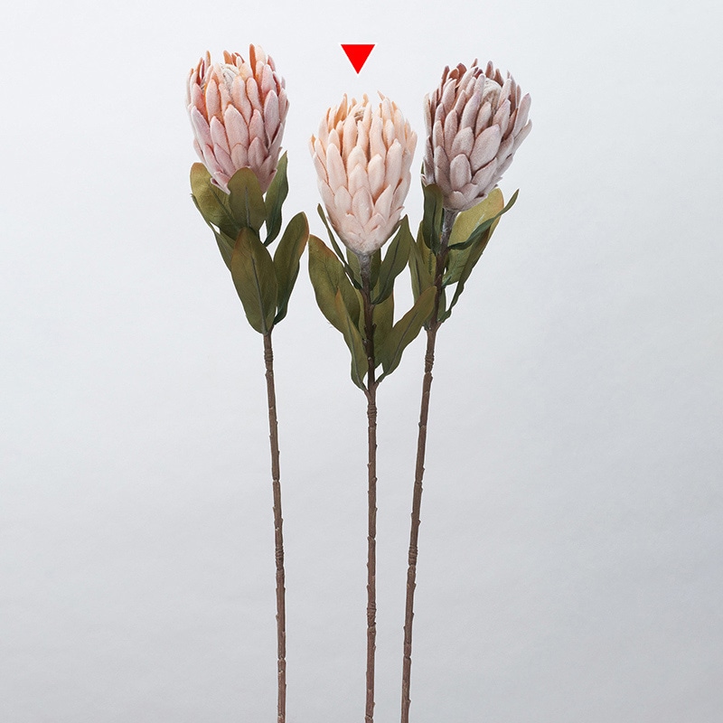 アスカ商会 造花 A-34418　プロテア #004A　アプリコット 1本（ご注文単位1本）【直送品】