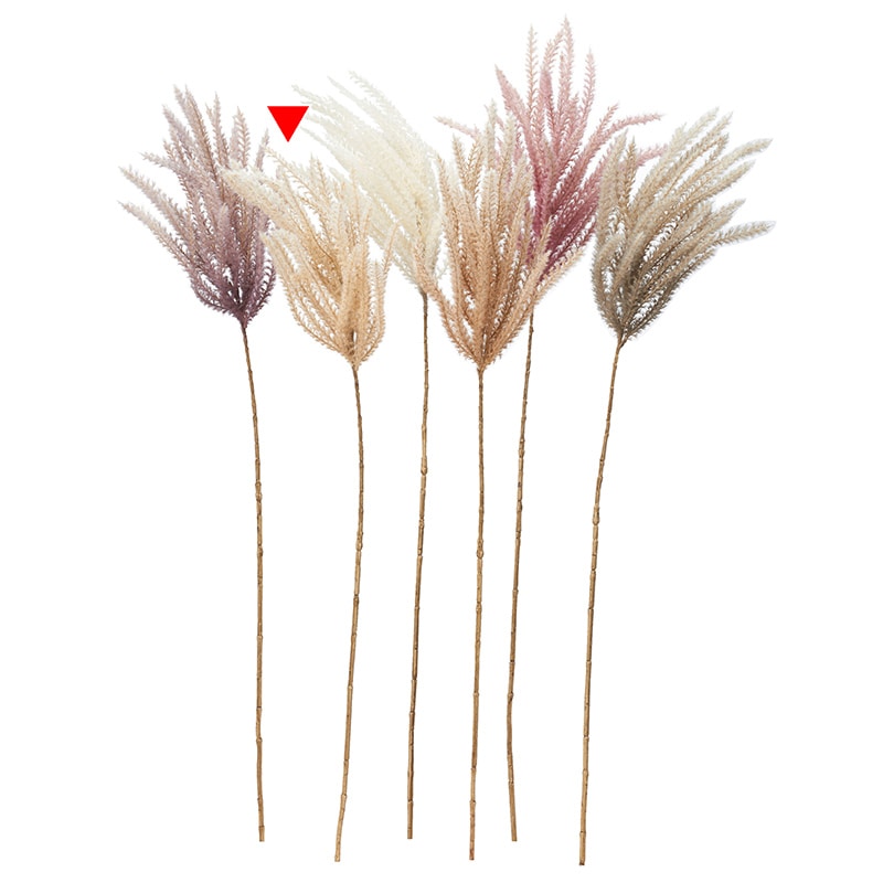 アスカ商会 造花・グリーン A-43999　パンパス #008　ベージュ 1本（ご注文単位1本）【直送品】