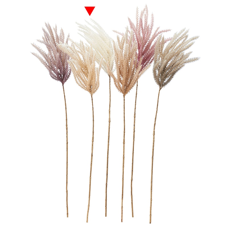 クリームホワイト