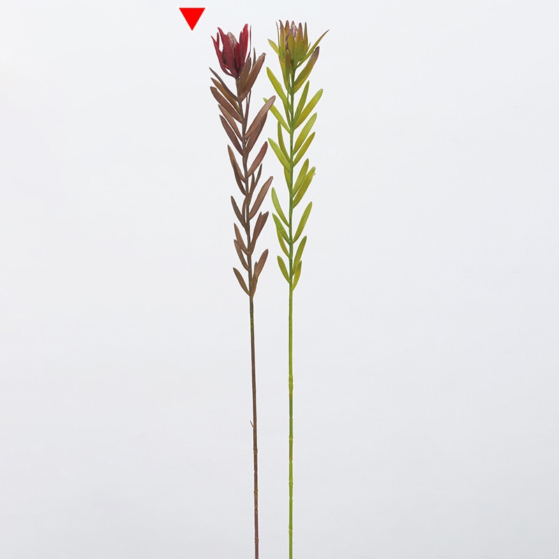 アスカ商会 造花・グリーン A-44051　リュウカデンドロン #015　バーガンディ 1本（ご注文単位1本）【直送品】