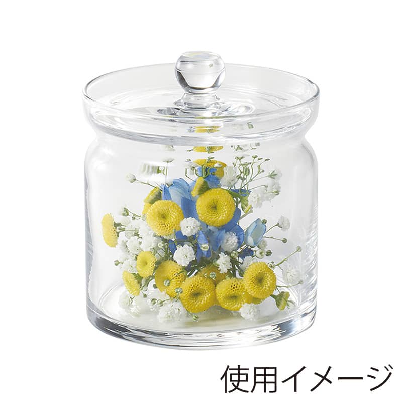 高岡健二商店 蓋付ガラスポット クリアー M T-46T042 1個（ご注文単位1個）【直送品】