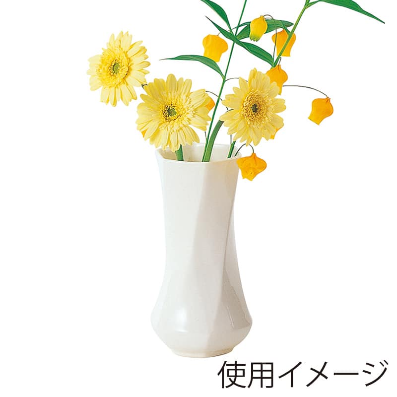シロ