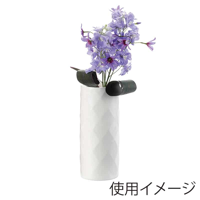 シロ