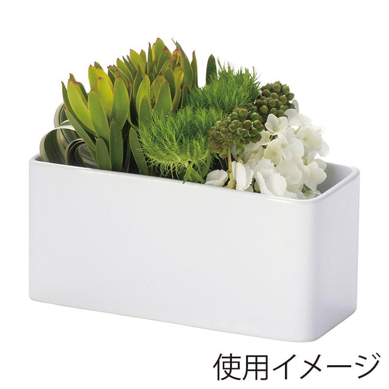 ホワイト
