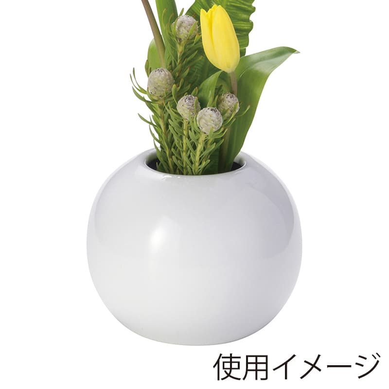 ホワイト