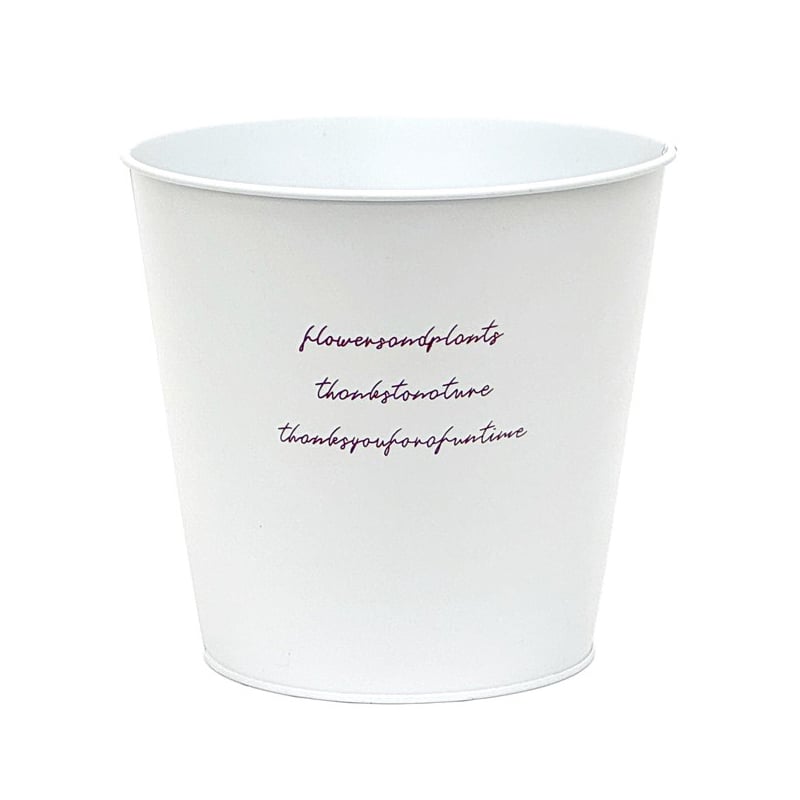 ブリキ D5 白 HL付 HC-12977 1個（ご注文単位5個）【直送品】