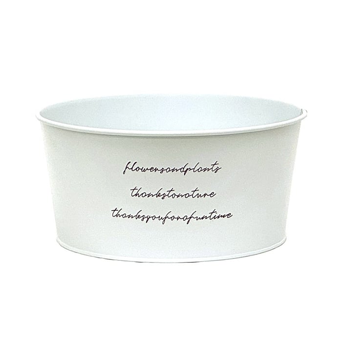 ブリキ 寄せ鉢 M 白 HL付 HC-12982 1個（ご注文単位5個）【直送品】