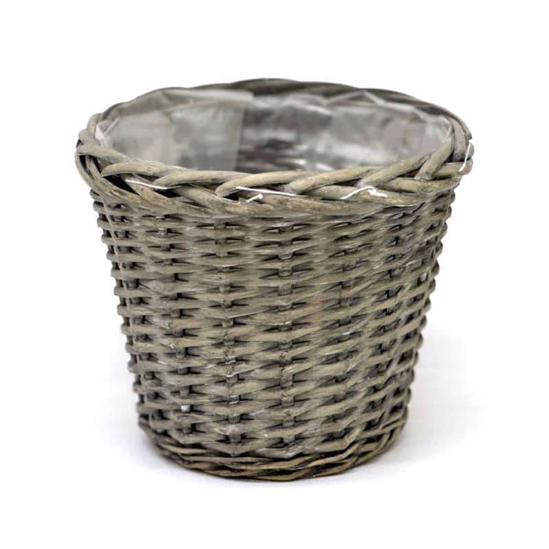 柳グレー D5 BCR-13190 1個（ご注文単位1個）【直送品】