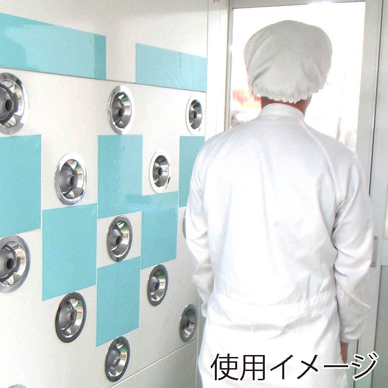 エクシール エアシャワー用粘着シート ダストキャッチャー DC01-13001 1セット(ご注文単位1セット)【直送品】