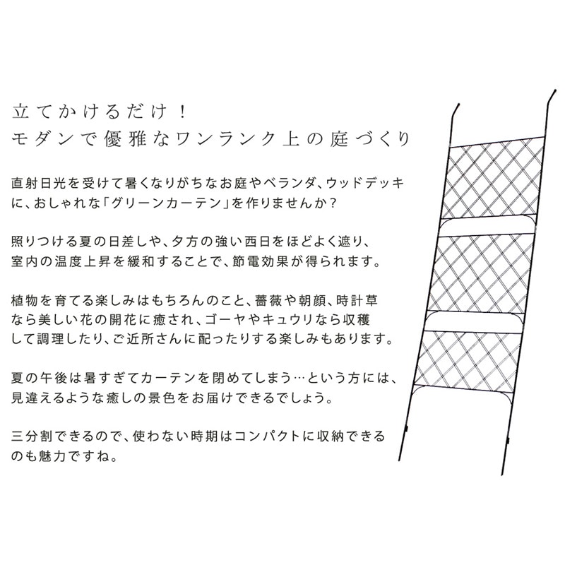 住まいスタイル アイアン製グリーンカーテン アーガイル 1枚 ブラック IF-GC011BLK 1枚(ご注文単位1枚)【直送品】