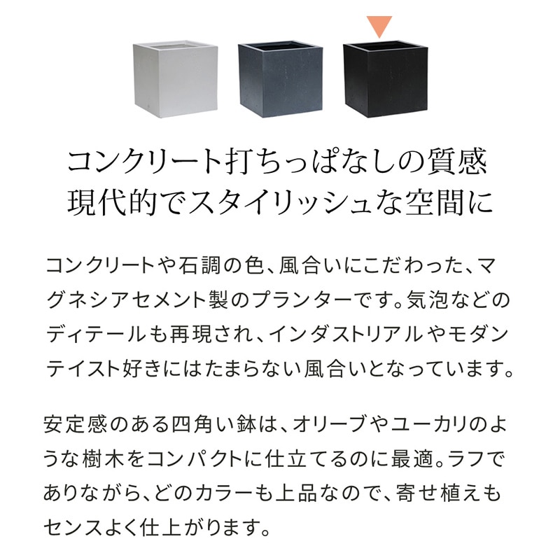 住まいスタイル マグネシアプランター テクスチャー 角型36cm ブラック TEX-360C-BLK 1個(ご注文単位1個)【直送品】