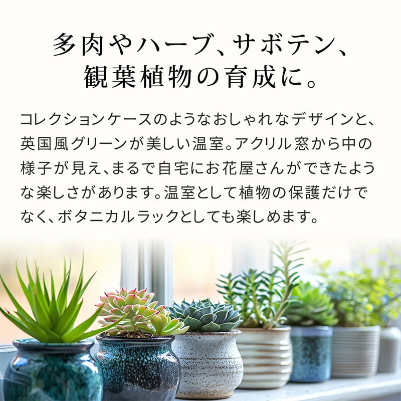 住まいスタイル 木製窓付グリーンハウス オウン ダークグリーン GRH45DGR 1台(ご注文単位1台)【直送品】